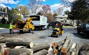 Artificial Turf Installation in Lake Success, NY